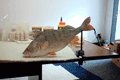 2003pesce